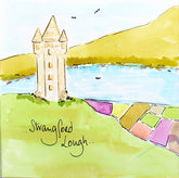 Strangford Lough